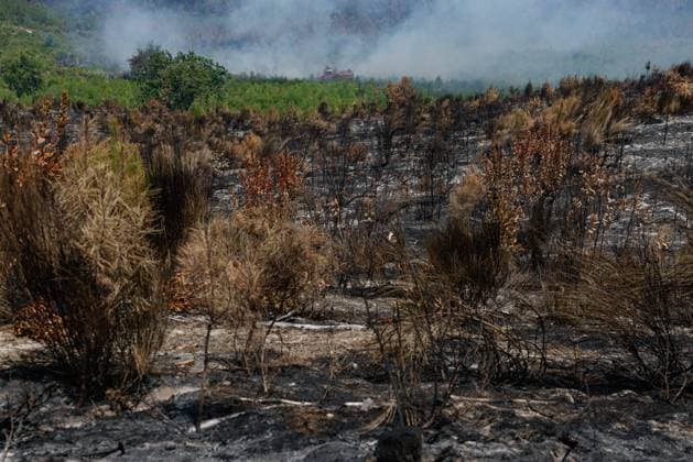 FIRE IN GIRONDE PHOTOPQR LE PARISIEN Olivier Corsan Lège-Cap-Ferret July 28, 2026 Lège-Cap-Ferret, Gironde, France, July 28, 2026 Firefighters, assisted by aerial resources—airplanes, helicopters, Dash, and Canadair, battled the flare-ups of the fires around the town of Lège Cap Ferret. Photo: LP Olivier Corsan FIRE IN GIRONDE Fire in southwestern France, July 28, 2026 Local Caption Lège Cap Ferret, Gironde, France  Copyright: xPHOTOPQR LExPARISIEN MAXPPPxOlivierxCorsanx 20260728LPA6234 20260728LPA6234