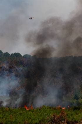 FIRE IN GIRONDE PHOTOPQR LE PARISIEN Olivier Corsan Lège-Cap-Ferret July 28, 2026 Lège-Cap-Ferret, Gironde, France, July 28, 2026 Firefighters, assisted by aerial resources—airplanes, helicopters, Dash, and Canadair, battled the flare-ups of the fires around the town of Lège Cap Ferret. Photo: LP Olivier Corsan FIRE IN GIRONDE Fire in southwestern France, July 28, 2026 Local Caption Lège Cap Ferret, Gironde, France  Copyright: xPHOTOPQR LExPARISIEN MAXPPPxOlivierxCorsanx 20260728LPA6236 20260728LPA6236