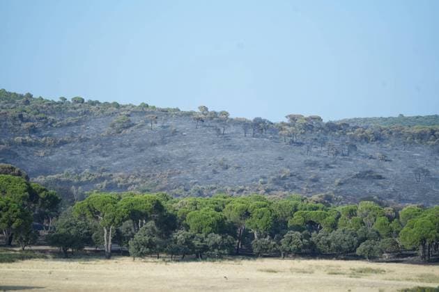Helicopters help fight fires in San Martin de Valdeiglesias, west of Madrid, Spain, Tuesday, July 28, 2026 Cordon Press 
