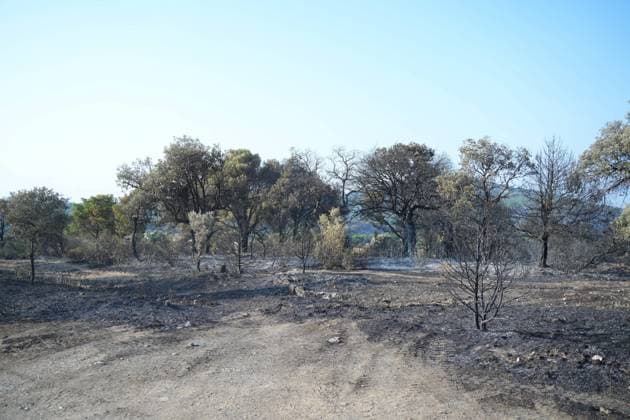 Helicopters, airplanes and firefighters help fight the fires in San Martin de Valdeiglesias, west of Madrid, Spain, Tuesday, July 28, 2026 Cordon Press 