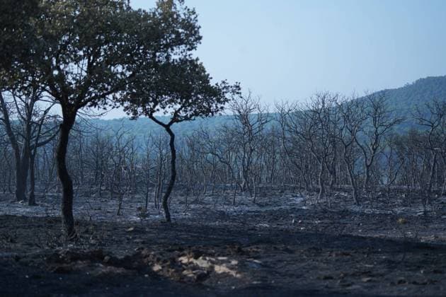Helicopters, airplanes and firefighters help fight the fires in San Martin de Valdeiglesias, west of Madrid, Spain, Tuesday, July 28, 2026 Cordon Press 