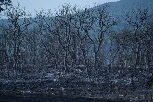 Helicopters, airplanes and firefighters help fight the fires in San Martin de Valdeiglesias, west of Madrid, Spain, Tuesday, July 28, 2026 Cordon Press 