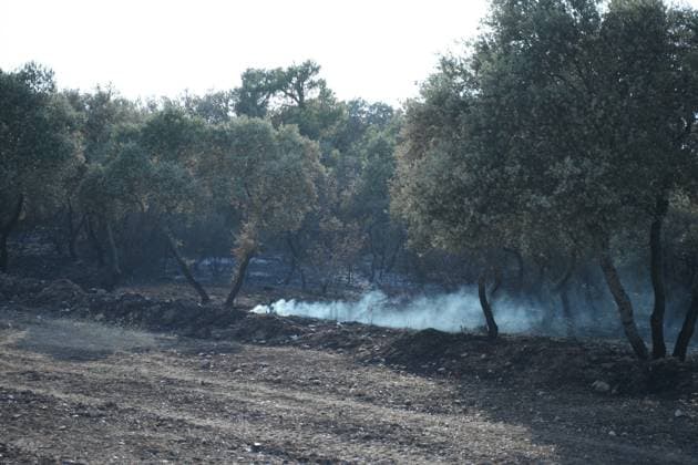 Helicopters, airplanes and firefighters help fight the fires in San Martin de Valdeiglesias, west of Madrid, Spain, Tuesday, July 28, 2026 Cordon Press 