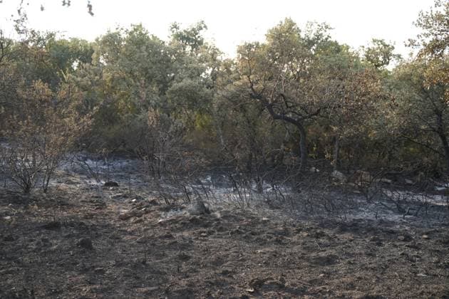 Helicopters, airplanes and firefighters help fight the fires in San Martin de Valdeiglesias, west of Madrid, Spain, Tuesday, July 28, 2026 Cordon Press 