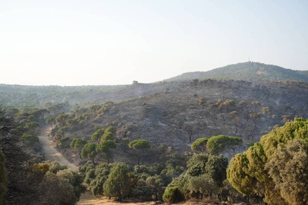 Helicopters, airplanes and firefighters help fight the fires in San Martin de Valdeiglesias, west of Madrid, Spain, Tuesday, July 28, 2026 Cordon Press 