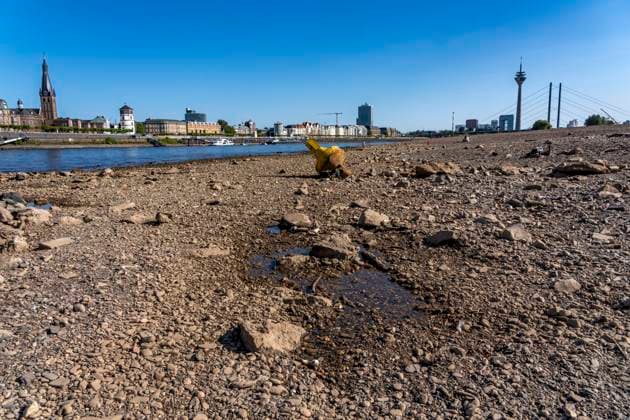 Boje auf Grund, Skyline mit Rheinturm und Rheinkniebrücke, Rhein bei Düsseldorf, extremes Niedrigwasser, Rheinpegel bei 31 cm, Tendenz fallend, nach der langen Dürre fällt das linke Rheinufer, bei Düsseldorf Oberkassel trocken, eine große Sandbank entsteht, Frachtschiffe können nur noch mit deutlich reduzierter Ladung fahren, Skyline der City, Oberkassler Rheinbrücke NRW, Deutschland Niedrigwasser Rhein *** Buoy aground, skyline featuring the Rhine Tower and the Rheinknie Bridge, the Rhine near Düsseldorf, extremely low water levels, Rhine water level at 31 cm, trending downward; following the long drought, the left bank of the Rhine near Düsseldorf-Oberkassel has dried up, a large sandbar has formed, cargo ships can now only sail