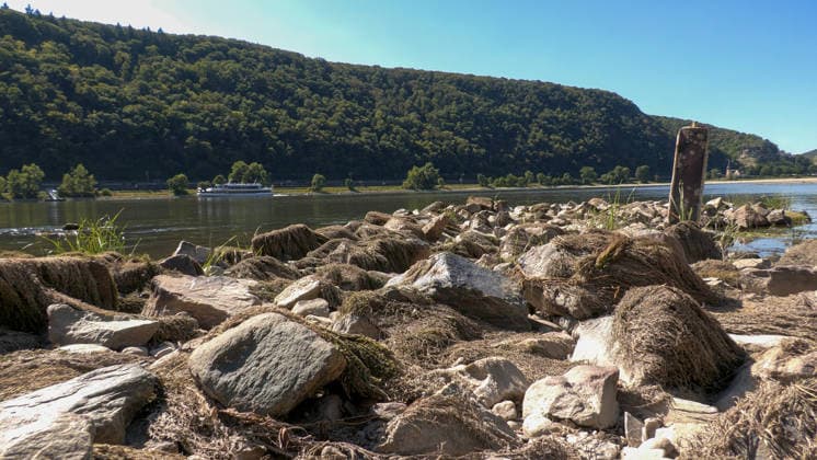 Deutschland steuert auf eine historische Dürrewelle zu und nun droht eine erneute mehrtägige Hitzewelle in Deutschland. Bis Mitte nächster Woche könnten erneut Temperaturen von bis zu 40 Â°C erreicht werden. Regen Fehlanzeige. Wie schlimm die Dürre bereits zugeschlagen hat, findet man vor allem am Rhein. Die Felder sind völlig ausgedorrt, Pflanzen vollkommen vertrocknet, die Bewässerung ist nur ein Tropfen auf einem heißen Stein. Bauern ackern bereits jetzt ihre staubtrockenen Felder. Einige Bäume haben bereits ihre Blätter abgeworfen und befinden sich bereits im Herbstmodus. Auf dem Rhein verursacht der sinkende Pegelstand immer mehr Probleme. Einige Autofähren mussten ihren Betrieb einstellen. Der Güterschiffsverkehr kann
