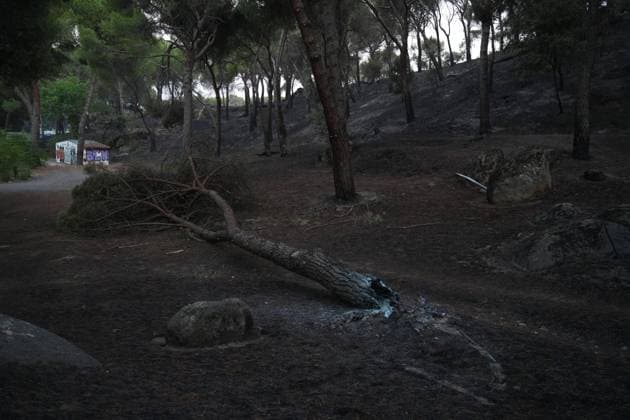 Images of the devastation caused by the forest fire in Pelayos de la Presa, Madrid province, Spain, Tuesday, July 28, 2026 Cordon Press 