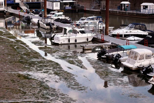 Der Rhein mit Niedrigwasser auf Höhe des Rheinauhafens in der Kölner Südstadt. Der Rhein hat sich tief in sein Bett zurückgezogen und gibt den Blick auf Uferbereiche frei. Erste Yachten liegen nun im Schlamm und können nicht ablegen. (Themenbild, Symbolbild) 28.07.2026 NRW Deutschland *** The Rhine at low water near the Rheinauhafen in Cologne’s Südstadt district. The Rhine has receded deep into its bed, revealing sections of the riverbank. The first yachts are now stuck in the mud and cannot set sail. Featured image, stock photo July 28, 2026, North Rhine-Westphalia, Germany Copyright: xChristophxHardtx