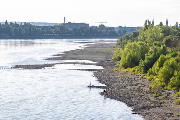 Niedrigwasser am Rhein in Bonn Niedrigwasser am Rhein: Bei einem Pegelstand von 87 cm am Pegel Bonn liegen weite Teile des Flussbetts trocken. Blick von der Bonner Südbrücke (Konrad-Adenauer-Brücke, A562) rheinabwärts Richtung Bonner Innenstadt. Bonn Nordrhein-Westfalen Deutschland *** Low Water Levels on the Rhine in Bonn Low Water Levels on the Rhine With the water level at the Bonn gauge station at 87 cm, large sections of the riverbed are dry View from Bonn’s Südbrücke (Konrad Adenauer Bridge), A562, downstream toward Bonn’s city center Bonn, North Rhine-Westphalia, Germany Copyright: xMarcxJohnx