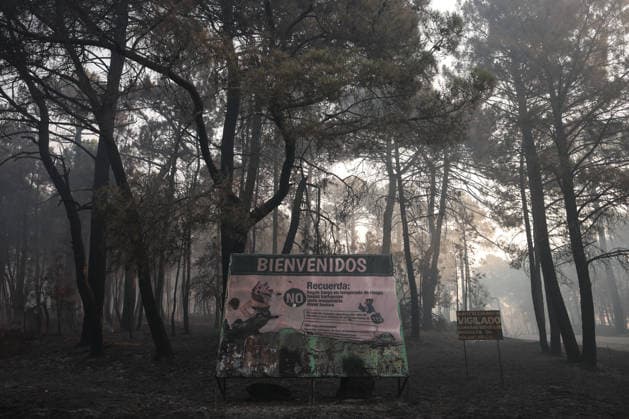 The fire in Burgohondo, Ávila, is not spreading, but it will still take several days to bring it under control. Land scorched by the wildfire on the outskirts of Casavieja, July 29, 2026, in Ávila, Castile and León, Spain. The fire suppression director for the Castile and León Regional Government’s Infocal operation at the Burgohondo, Ávila, fire stated that overnight, emergency crews managed to prevent the fire from spreading, however, he warned that it will take many days of work to bring it under control. JULY 29, 2026 Alejandro Martínez Vé Ávila, Castile and León Ávila, Castile and León, Spain  Copyright: xAlejandroxMartinezxVÃ lezx 7693642