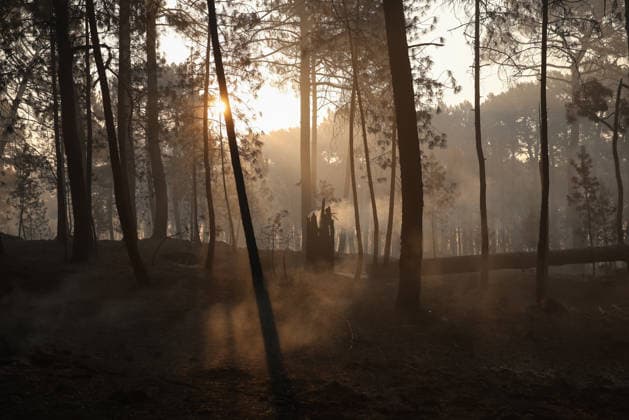 The fire in Burgohondo, Ávila, is not spreading, but it will still take several days to bring it under control. Land scorched by the wildfire on the outskirts of Casavieja, July 29, 2026, in Ávila, Castile and León, Spain. The fire suppression director for the Castile and León Regional Government’s Infocal operation at the Burgohondo, Ávila, fire stated that overnight, emergency crews managed to prevent the fire from spreading, however, he warned that it will take many days of work to bring it under control. JULY 29, 2026 Alejandro Martínez Vé Ávila, Castile and León Ávila, Castile and León, Spain  Copyright: xAlejandroxMartinezxVÃ lezx 7693641