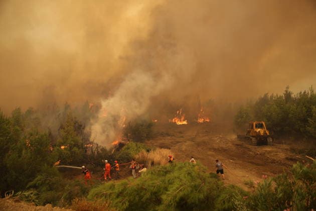 Firefighters battle wildfire in Mugla from air and ground MUGLA, TURKIYE - JULY 29: Firefighters respond from the air and ground to a forest fire in the Seydikemer district of Mugla, Turkiye on July 29, 2026. The fire, which started in an agricultural area in the Bayir neighborhood, spread to the nearby forest driven by strong winds. Fatih Hepokur Anadolu Mugla Turkey. Editorial use only. Please get in touch for any other usage.  Copyright: x2026xAnadoluxFatihxHepokurx