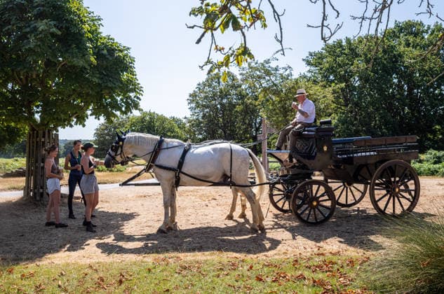 July 29, 2026, London, UK: London, UK. Carriage drivers cool off with a cold drink in a parched Richmond Park southwest London as the 4th heatwave hits London and the South East today. Weather experts have issued further high heat weather warnings for the South East with highs of over 35c expected as the heatwave conditions continue. However, cooler temperatures are expected by the weekend. London UK  - ZUMAl94_ 20260729_zaf_l94_011 Copyright: xAlexxLentatix