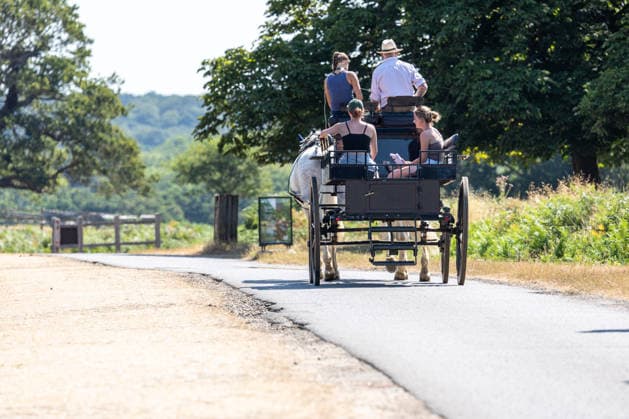 July 29, 2026, London, UK: London, UK. Carriage drivers cool off in the hot sunshine in a parched Richmond Park southwest London as the 4th heatwave hits London and the South East today. Weather experts have issued further high heat weather warnings for the South East with highs of over 35c expected as the heatwave conditions continue. However, cooler temperatures are expected by the weekend. London UK  - ZUMAl94_ 20260729_zaf_l94_018 Copyright: xAlexxLentatix