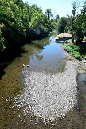 Drought alert in Wallonia (Lesse) HOUYET, BELGIUM - JULY 29 : Drought alert in Wallonia : low level of the river Lesse on July 29, 2026 in Houyet, Belgium, 29 07 2026 Houyet Belgium  Copyright: xDidierxLebrunx