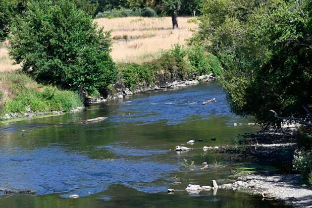 Drought alert in Wallonia (Lesse) HOUYET, BELGIUM - JULY 29 : Drought alert in Wallonia : low level of the river Lesse on July 29, 2026 in Houyet, Belgium, 29 07 2026 Houyet Belgium  Copyright: xDidierxLebrunx