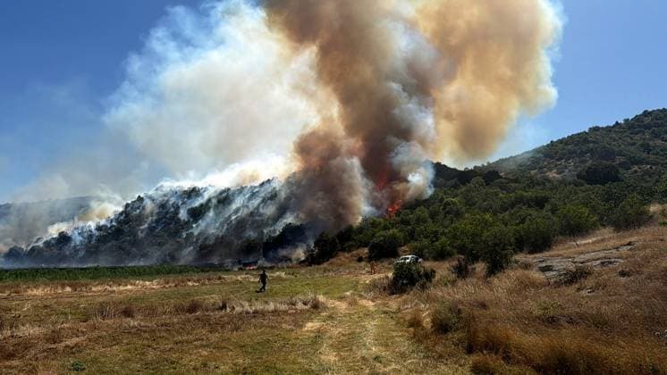 Firefighting efforts continue in Turkiye s Kutahya KUTAHYA, TURKIYE - JULY 29: Smoke rises from the fire area while firefighters and Turkish General Directorate of Forestry teams continue their efforts to extinguish the fire that broke out in the forest area from air and land in the Domanic district of Kutahya, Turkiye on July 29, 2026. Serdar Yigit Anadolu Kutahya Turkey. Editorial use only. Please get in touch for any other usage.  Copyright: x2026xAnadoluxSerdarxYigitx