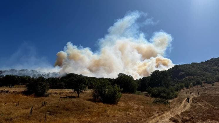 Firefighting efforts continue in Turkiye s Kutahya KUTAHYA, TURKIYE - JULY 29: Smoke rises from the fire area while firefighters and Turkish General Directorate of Forestry teams continue their efforts to extinguish the fire that broke out in the forest area from air and land in the Domanic district of Kutahya, Turkiye on July 29, 2026. Serdar Yigit Anadolu Kutahya Turkey. Editorial use only. Please get in touch for any other usage.  Copyright: x2026xAnadoluxSerdarxYigitx