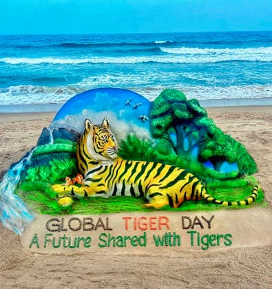 RECORD DATE NOT STATED Renowned sand artist Sudarsan Pattnaik creates sand art at Puri beach on Global Tiger Day Puri Odisha , Jul 29 (ANI): Renowned sand artist Sudarsan Pattnaik creates a sand art at Puri beach on the occasion of Global Tiger Day, in Puri on Wednesday. (@sudarsansand X ANI Photo) Puri Odisha India Copyright: xANIx ANI_20260729014