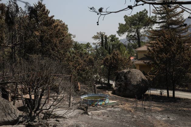 The fire in Burgohondo, Ávila, is not spreading, but it will still take several days to bring it under control. A garden scorched by the wildfire on the outskirts of Casavieja, on July 29, 2026, in Ávila, Castile and León, Spain. The fire suppression director for the Castile and León Regional Government’s Infocal operation at the Burgohondo, Ávila, fire stated that overnight, emergency crews managed to prevent the fire from spreading, however, he warned that it will take many days of work to bring it under control. JULY 29, 2026 Alejandro Martínez Vé Ávila, Castile and León Ávila, Castile and León, Spain  Copyright: xAlejandroxMartinezxVÃ lezx 7694119