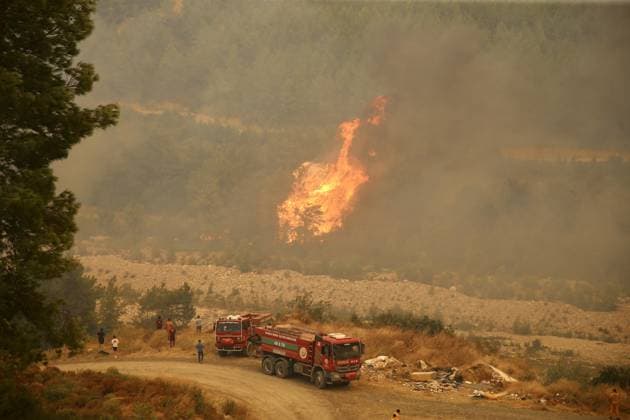 Firefighting efforts continue in Turkiye s Mugla MUGLA, TURKIYE - JULY 29: Firefighters battle the wildfire with ground and aerial operations in Seydikemer district of Mugla, Turkiye on July 29, 2026. Ali Riza Akkir Anadolu Mugla Turkey. Editorial use only. Please get in touch for any other usage.  Copyright: x2026xAnadoluxAlixRizaxAkkirx