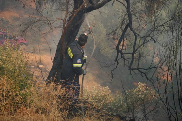 Forest fire in the Greek island of Lesbos LESBOS, GREECE - JULY 29: Teams continue their efforts to extinguish the fire that broke out in the forest area from air and land in the Plomari town on Lesbos island, Greece on July 29, 2026. Panagiotis Balaskas Anadolu Lesbos Greece. Editorial use only. Please get in touch for any other usage.  Copyright: x2026xAnadoluxPanagiotisxBalaskasx