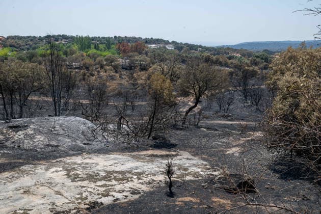 July 29, 2026, Madrid, Madrid, Spain: The devastating Sierra Oeste wildfire has scorched around 34,000 hectares (approx. 84,000 acres) in the Community of Madrid, severely hitting the municipalities of ChapineroÂ­a and Navas del Rey. Madrid Spain - ZUMAd308 20260729_zsp_d308_005 Copyright: xJuanxCarlosxLucasx