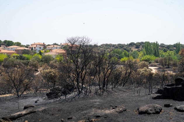 July 29, 2026, Madrid, Madrid, Spain: The devastating Sierra Oeste wildfire has scorched around 34,000 hectares (approx. 84,000 acres) in the Community of Madrid, severely hitting the municipalities of ChapineroÂ­a and Navas del Rey. Madrid Spain  - ZUMAd308 20260729_zsp_d308_002 Copyright: xJuanxCarlosxLucasx