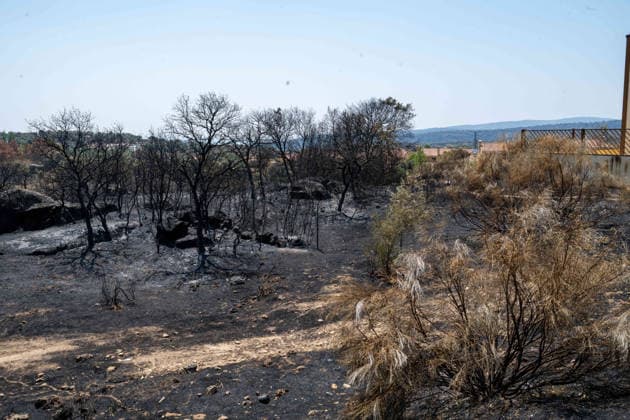 July 29, 2026, Madrid, Madrid, Spain: The devastating Sierra Oeste wildfire has scorched around 34,000 hectares (approx. 84,000 acres) in the Community of Madrid, severely hitting the municipalities of ChapineroÂ­a and Navas del Rey. Madrid Spain  - ZUMAd308 20260729_zsp_d308_003 Copyright: xJuanxCarlosxLucasx