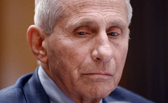 Former NIH Director Anthony Fauci Testifies Senate Committee On Homeland Affairs Former NIH Director Anthony Fauci testifies before the Senate Homeland Security and Governmental Affairs Committee hearing on July 29, 2026 in Washington, DC. Fauci declined to answer questions from the committee asserting his fifth amendment right during the hearing. Photo by Olivier Douliery ABACAPRESS.COM Washington DC United States  Copyright: xDoulieryxOlivier ABACAx