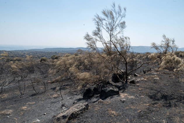 July 29, 2026, Madrid, Madrid, Spain: The devastating Sierra Oeste wildfire has scorched around 34,000 hectares (approx. 84,000 acres) in the Community of Madrid, severely hitting the municipalities of ChapineroÂ­a and Navas del Rey. Madrid Spain - ZUMAd308 20260729_zsp_d308_026 Copyright: xJuanxCarlosxLucasx