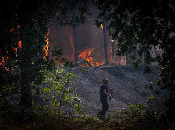 Marcheprime Fires PHOTOPQR SUD OUEST Laurent Theillet Marcheprime July 29, 2026 Fire between Marcheprime and Lanton on the road to Blagon, a day with the Landes firefighters monitoring the risk of fires reigniting in Marcheprime on July 29, 2026; photo by Laurent Theillet, Sud Ouest; Marcheprime, July 29, 2026; A day spent with the Landes fire brigade monitoring the risk of fires reigniting; Marcheprime, GIRONDE, France  Copyright: xPHOTOPQR SUDxOUEST MAXPPPxLaurentxTheilletx 20260729SDO7912 20260729SDO7912