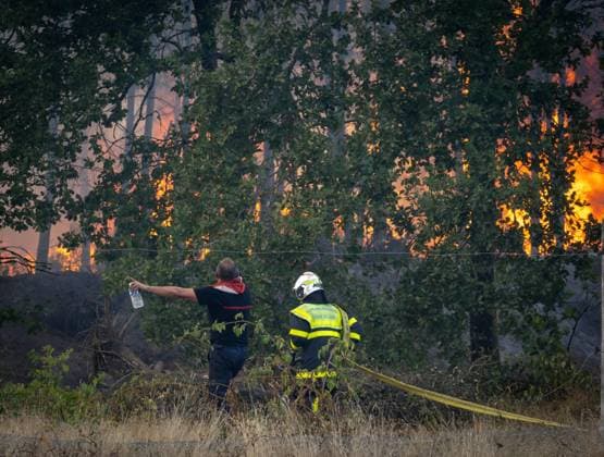 Marcheprime Fires PHOTOPQR SUD OUEST Laurent Theillet Marcheprime July 29, 2026 Fire between Marcheprime and Lanton on the road to Blagon, a day with the Landes firefighters monitoring the risk of fires reigniting in Marcheprime on July 29, 2026; photo by Laurent Theillet, Sud Ouest; Marcheprime, July 29, 2026; A day spent with the Landes fire brigade monitoring the risk of fires reigniting; Marcheprime, GIRONDE, France  Copyright: xPHOTOPQR SUDxOUEST MAXPPPxLaurentxTheilletx 20260729SDO7927 20260729SDO7927