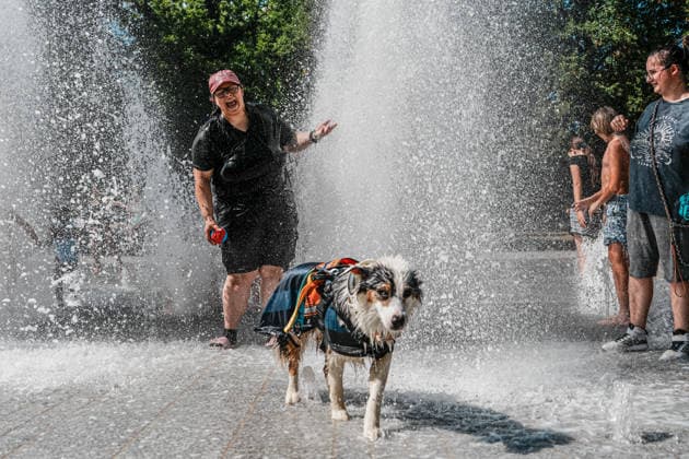 Heatwave in eastern France drives residents and pets to seek relief in public fountains NANCY, FRANCE - JULY 29: Residents and their pets cool off in public fountains at Parc de la Pepiniere as a summer heatwave brings soaring temperatures in Nancy, eastern France, on July 29, 2026. Children play in water jets while dogs wade through the fountains to escape the heat, as visitors gather in shaded areas of the park during one of the hottest days of the season. The French national weather service has warned of persistent high temperatures affecting several regions across the country. Muhammed Said Tako Anadolu Nancy France. Editorial use only. Please get in touch for any other usage.  Copyright: x2026xAnadoluxMuhammedxSaidxTakox
