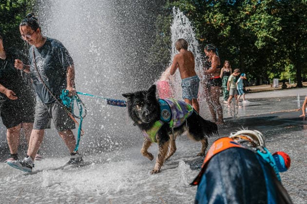 Heatwave in eastern France drives residents and pets to seek relief in public fountains NANCY, FRANCE - JULY 29: Residents and their pets cool off in public fountains at Parc de la Pepiniere as a summer heatwave brings soaring temperatures in Nancy, eastern France, on July 29, 2026. Children play in water jets while dogs wade through the fountains to escape the heat, as visitors gather in shaded areas of the park during one of the hottest days of the season. The French national weather service has warned of persistent high temperatures affecting several regions across the country. Muhammed Said Tako Anadolu Nancy France. Editorial use only. Please get in touch for any other usage.  Copyright: x2026xAnadoluxMuhammedxSaidxTakox