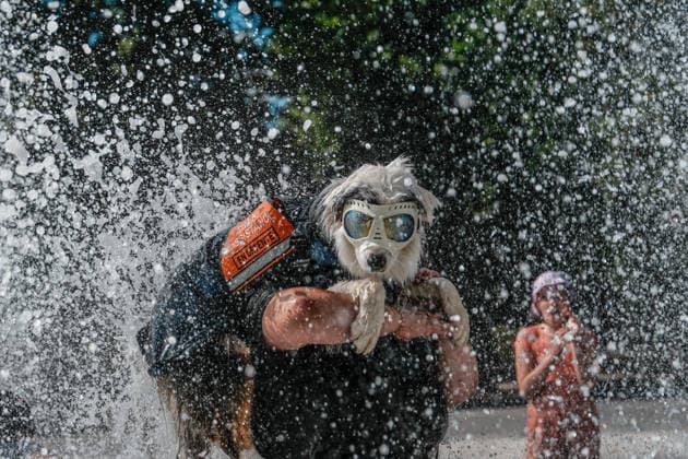 Heatwave in eastern France drives residents and pets to seek relief in public fountains NANCY, FRANCE - JULY 29: Residents and their pets cool off in public fountains at Parc de la Pepiniere as a summer heatwave brings soaring temperatures in Nancy, eastern France, on July 29, 2026. Children play in water jets while dogs wade through the fountains to escape the heat, as visitors gather in shaded areas of the park during one of the hottest days of the season. The French national weather service has warned of persistent high temperatures affecting several regions across the country. Muhammed Said Tako Anadolu Nancy France. Editorial use only. Please get in touch for any other usage.  Copyright: x2026xAnadoluxMuhammedxSaidxTakox