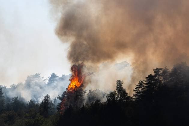Forest Fire in Marsannay-la-Côte, July 29, 2026 PHOTOPQR LE BIEN PUBLIC Emma BUONCRISTIANI Marsannay-la-Côte July 29, 2026 Fire, forest fire in Marsannay-la-Côte, also near Couchey, on July 29, 2026 July 29, 2026 Marsannay-la-Côte, Côte-d’Or department, France Fire, forest fire in Marsannay-la-Côte Marsannay-la-Côte, Côte-d’Or, Burgundy, France  Copyright: xPHOTOPQR LExBIENxPUBLIC MAXPPPxEmmaxBUONCRISTIANIx 20260729BPU7997 20260729BPU7997