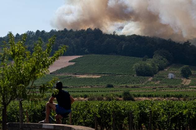 Forest Fire in Marsannay-la-Côte, July 29, 2026 PHOTOPQR LE BIEN PUBLIC Emma BUONCRISTIANI Marsannay-la-Côte July 29, 2026 Fire, forest fire in Marsannay-la-Côte, also near Couchey, on July 29, 2026 July 29, 2026 Marsannay-la-Côte, Côte-d’Or department, France Fire, forest fire in Marsannay-la-Côte Marsannay-la-Côte, Côte-d’Or, Burgundy, France  Copyright: xPHOTOPQR LExBIENxPUBLIC MAXPPPxEmmaxBUONCRISTIANIx 20260729BPU8001 20260729BPU8001