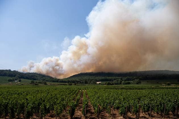 Forest Fire in Marsannay-la-Côte, July 29, 2026 PHOTOPQR LE BIEN PUBLIC Emma BUONCRISTIANI Marsannay-la-Côte July 29, 2026 Fire, forest fire in Marsannay-la-Côte, also near Couchey, on July 29, 2026 July 29, 2026 Marsannay-la-Côte, Côte-d’Or department, France Fire, forest fire in Marsannay-la-Côte Marsannay-la-Côte, Côte-d’Or, Burgundy, France  Copyright: xPHOTOPQR LExBIENxPUBLIC MAXPPPxEmmaxBUONCRISTIANIx 20260729BPU8002 20260729BPU8002