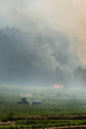 Forest Fire in Marsannay-la-Côte, July 29, 2026 PHOTOPQR LE BIEN PUBLIC Emma BUONCRISTIANI Marsannay-la-Côte, July 29, 2026 Fire, forest fire in Marsannay-la-Côte, also near Couchey, July 29, 2026 Farmers lend a hand July 29, 2026 Marsannay-la-Côte, Côte-d’Or department, France Fire, forest fire in Marsannay-la-Côte, Marsannay-la-Côte, Côte-d’Or, Burgundy, France  Copyright: xPHOTOPQR LExBIENxPUBLIC MAXPPPxEmmaxBUONCRISTIANIx 20260729BPU8010 20260729BPU8010