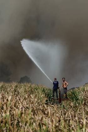 FIRE IN GIRONDE PHOTOPQR LE PARISIEN Olivier Corsan Lège-Cap-Ferret July 29, 2026 Lège-Cap-Ferret, Gironde, France, July 29, 2026 Civilians using a cornfield sprinkler system are battling a flare-up from the Gironde fire in Sector 21 of Lège Cap Ferret GIRONDE FIRE July 29, 2026 Lège Cap Ferret, Gironde, France Firefighters battled all day in Sector 21 of Lège Cap Ferret against flare-ups from the Gironde fire, supported by members of the public Local Caption GIRONDE FIRE Lège Cap Ferret Gironde France  Copyright: xPHOTOPQR LExPARISIEN MAXPPPxOlivierxCorsanx 20260729LPA8045 20260729LPA8045