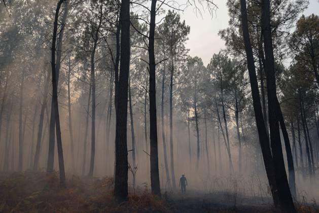 FIRE IN GIRONDE PHOTOPQR LE PARISIEN Olivier Corsan Lège-Cap-Ferret July 29, 2026 Lège-Cap-Ferret, Gironde, France, July 29, 2026 Firefighters battled all day in Sector 21 of Lège Cap Ferret against flare-ups from the Gironde fire, supported by members of the public GIRONDE FIRE July 29, 2026 Lège Cap Ferret, Gironde, France Firefighters battled all day in Sector 21 of Lège Cap Ferret against flare-ups from the Gironde fire, supported by members of the public Local Caption GIRONDE FIRE Lège Cap Ferret Gironde France  Copyright: xPHOTOPQR LExPARISIEN MAXPPPxOlivierxCorsanx 20260729LPA8046 20260729LPA8046