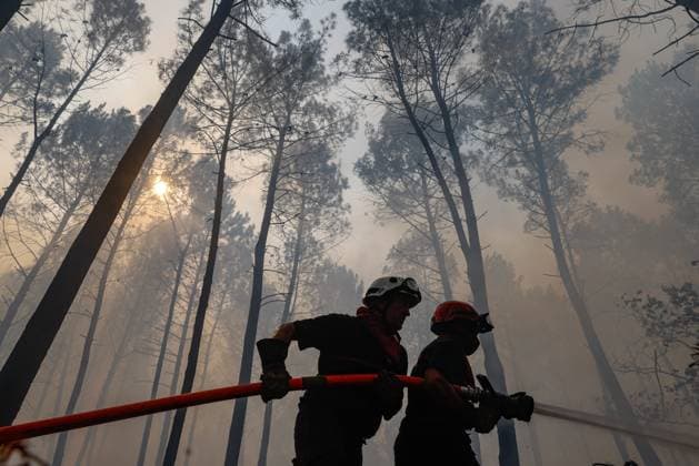 FIRE IN GIRONDE PHOTOPQR LE PARISIEN Olivier Corsan Lège-Cap-Ferret July 29, 2026 Lège-Cap-Ferret, Gironde, France, July 29, 2026 Firefighters battled all day in Sector 21 of Lège Cap Ferret against flare-ups from the Gironde fire, supported by members of the public GIRONDE FIRE July 29, 2026 Lège Cap Ferret, Gironde, France Firefighters battled all day in Sector 21 of Lège Cap Ferret against flare-ups from the Gironde fire, supported by members of the public Local Caption GIRONDE FIRE Lège Cap Ferret Gironde France  Copyright: xPHOTOPQR LExPARISIEN MAXPPPxOlivierxCorsanx 20260729LPA8066 20260729LPA8066