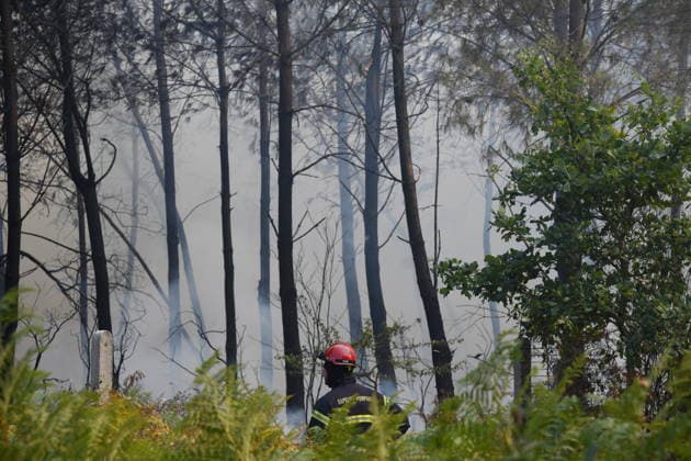 Firefighting efforts continue in Bordeaux BORDEAUX, FRANCE - JULY 29: Teams continue their efforts to extinguish the fire that broke out in the Lanton forest area from air and land in Bordeaux, France on July 29, 2026. Dragan Lekic Anadolu Bordeaux France. Editorial use only. Please get in touch for any other usage.  Copyright: x2026xAnadoluxDraganxLekicx