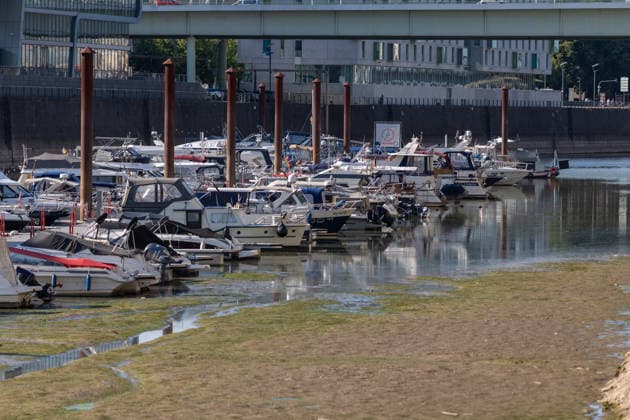 Niedrigwasser im Yachthafen des Kölner Rheinauhafens Anhaltende Hitzewelle und Trockenheit in NRW: Im Yachthafen des Kölner Rheinauhafens liegt der Grund teilweise frei, mehrere Boote liegen auf. Der Pegel Köln liegt bei 70 cm nur 1 cm über dem historischen Tiefstwert von 69 cm vom 23. Oktober 2018. Köln Nordrhein-Westfalen Deutschland *** Low Water Levels at Cologne’s Rheinauhafen Marina: Ongoing Heat Wave and Drought in North Rhine-Westphalia. At Cologne’s Rheinauhafen Marina, the riverbed is partially exposed, and several boats are aground. The water level at Cologne stands at 70 cm, just 1 cm above the all-time low of 69 cm recorded on October 23, 2018. Cologne, North Rhine-Westphalia, Germany Copyright: xMarcxJohnx