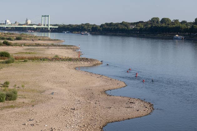 Niedrigwasser am Rhein: Blick von der Kölner Südbrücke Richtung Rodenkirchen Anhaltende Hitzewelle in NRW: Der Pegel Köln liegt bei 70 cm nur 1 cm über dem historischen Tiefstwert von 69 cm vom 23. Oktober 2018. Blick von der Kölner Südbrücke (Eisenbahnbrücke, Baujahr 1910) rheinaufwärts Richtung Süden, im Hintergrund die Rheinbrücke Köln-Rodenkirchen (A4). Köln Nordrhein-Westfalen Deutschland *** Low water levels on the Rhine; view from Cologne’s Südbrücke toward Rodenkirchen; ongoing heat wave in North Rhine-Westphalia; the water level at Cologne is 70 cm, just 1 cm above the all-time low of 69 cm recorded on October 23, 2018; view from Cologne’s Südbrücke; railroad bridge, built in 1910, looking upstream toward the sou Copyright: xMarcxJohnx