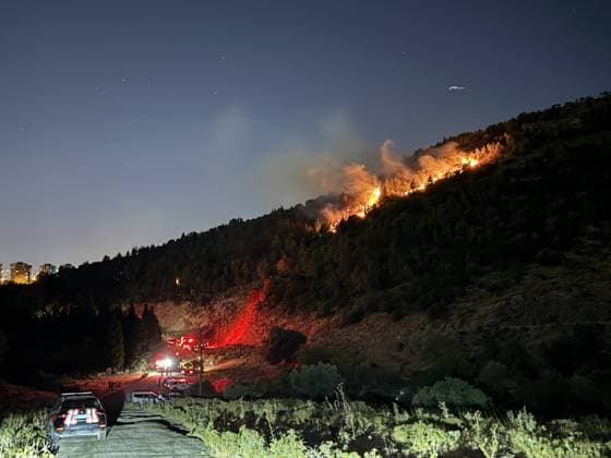Firefighting efforts continue against forest fire in Izmir IZMIR, TURKIYE - JULY 30: Firefighting teams continue efforts to contain a forest fire in the Bornova district of Izmir, Turkiye, on July 30, 2026, as strong winds fuel the spread of the blaze. Metin Aydemir Anadolu Izmir Turkey. Editorial use only. Please get in touch for any other usage.  Copyright: x2026xAnadoluxMetinxAydemirx