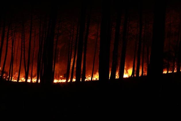 Firefighters continue battling wildfire in southwestern France LEGE-CAP-FERRET, FRANCE - JULY 29: Flames spread through the Grand Crohot forest during a controlled burn carried out near Lege-Cap-Ferret, southwestern France, on July 29, 2026. The operation was conducted as part of wildfire prevention measures following recent blazes in the region. Mohamad Salaheldin Abdelghani Alsayed Anadolu Lege-Cap-Ferret France. Editorial use only. Please get in touch for any other usage.  Copyright: x2026xAnadoluxMohamadxSalaheldinxAbdelghanixAlsayedx
