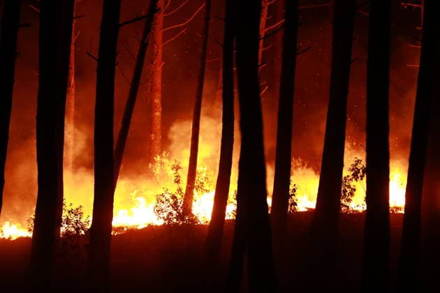 Firefighters continue battling wildfire in southwestern France LEGE-CAP-FERRET, FRANCE - JULY 29: Flames spread through the Grand Crohot forest during a controlled burn carried out near Lege-Cap-Ferret, southwestern France, on July 29, 2026. The operation was conducted as part of wildfire prevention measures following recent blazes in the region. Mohamad Salaheldin Abdelghani Alsayed Anadolu Lege-Cap-Ferret France. Editorial use only. Please get in touch for any other usage.  Copyright: x2026xAnadoluxMohamadxSalaheldinxAbdelghanixAlsayedx